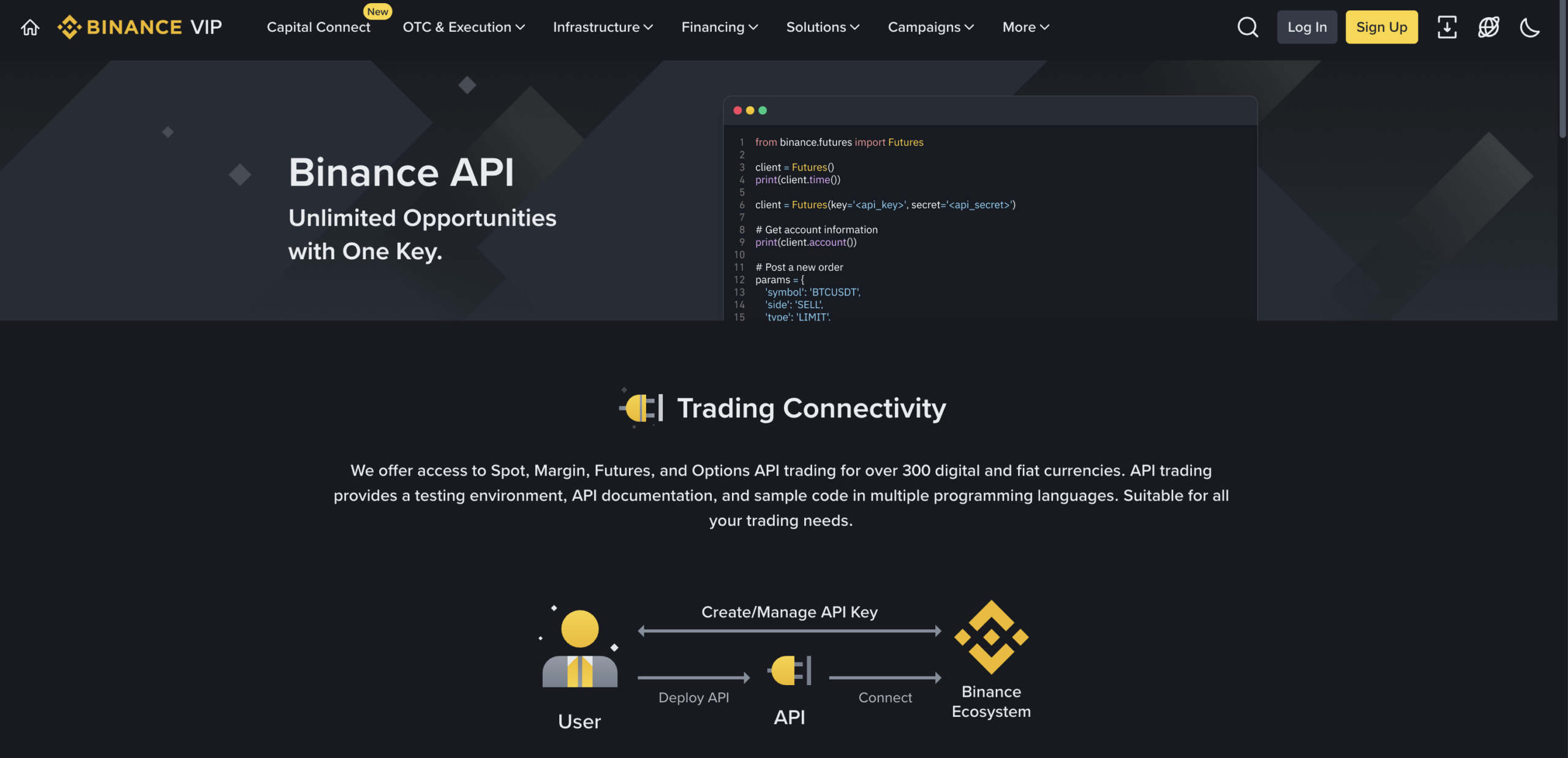 Binance VIP API page