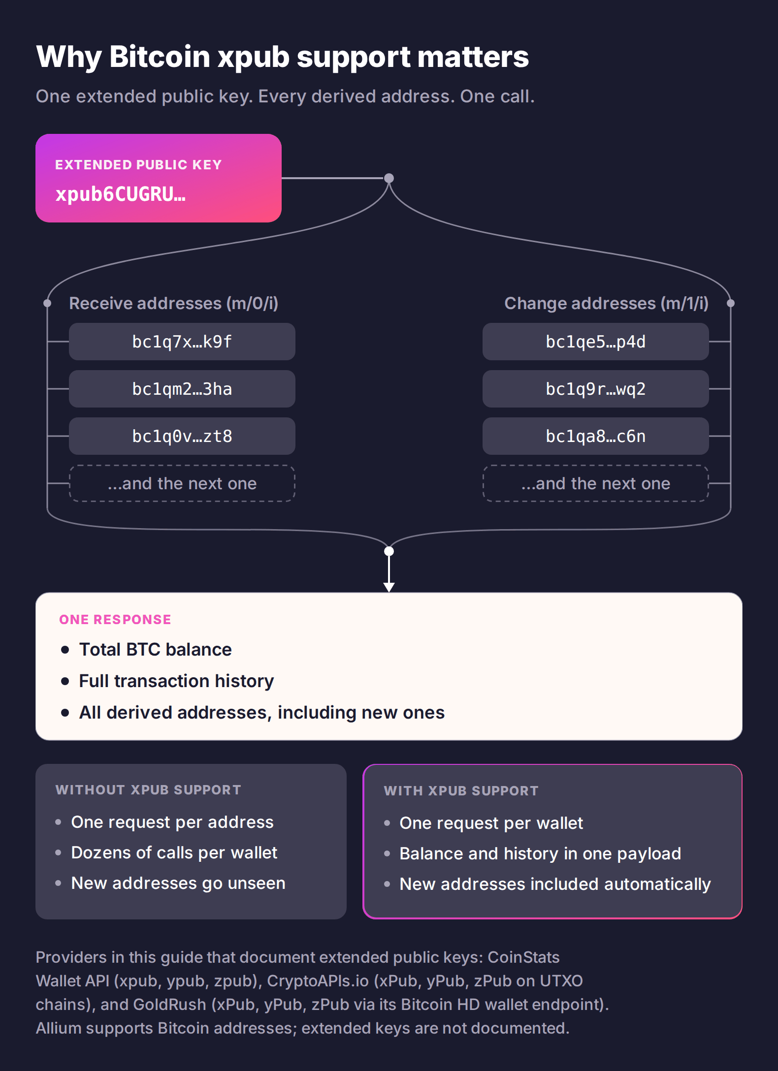 Diagram of a Bitcoin extended public key deriving receive and change addresses, all returned in one wallet API response, compared with one request per address without xpub support