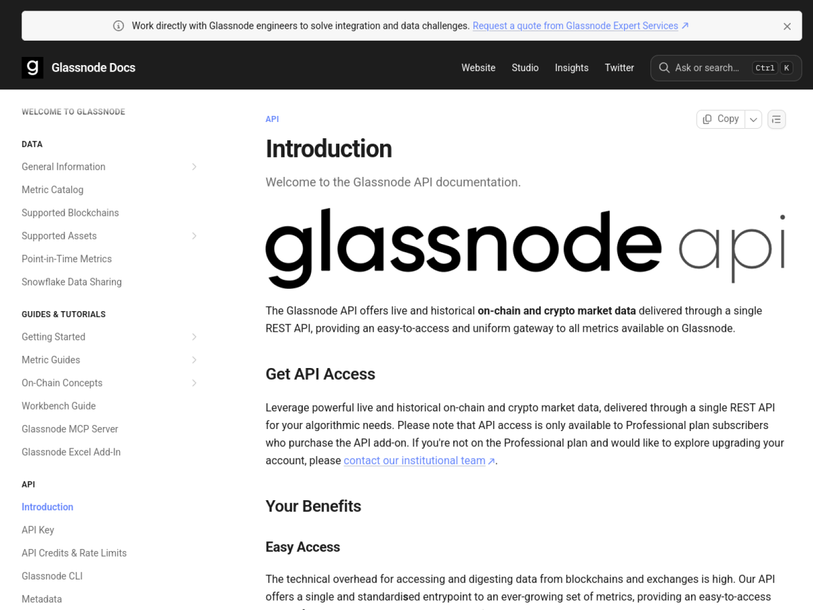 Glassnode API documentation Introduction page