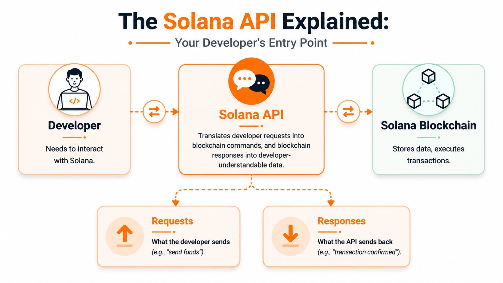 A diagram illustrating how the Solana API acts as a communication bridge between developers and the blockchain.