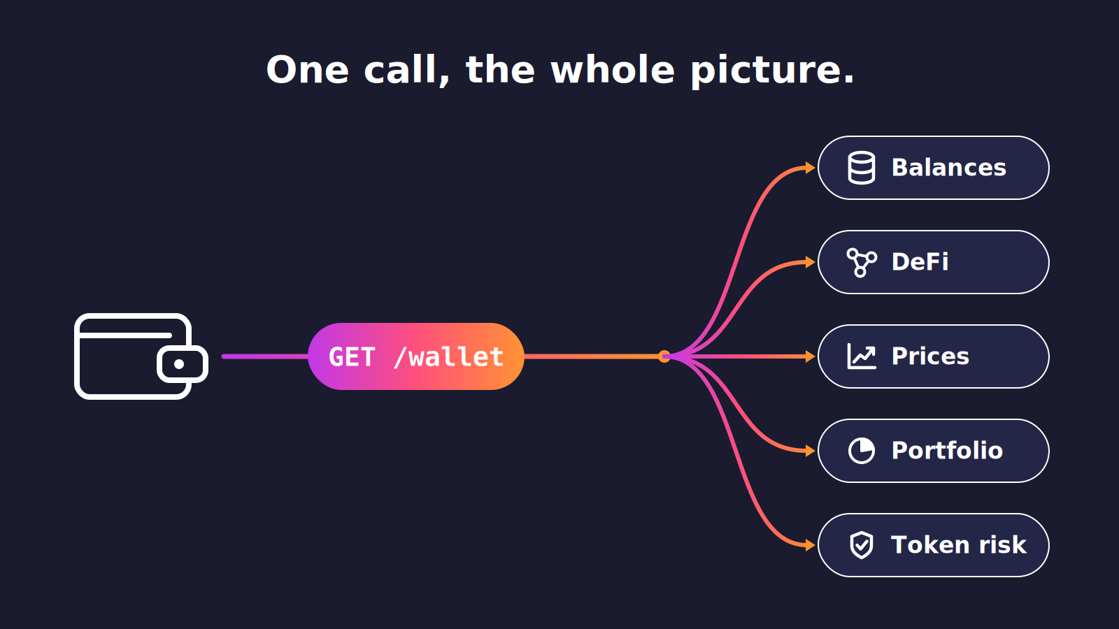 One GET wallet call returning balances, DeFi, prices, and token risk