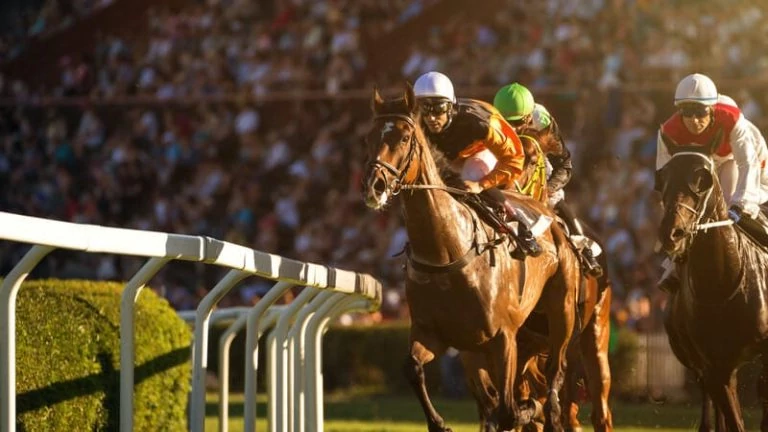 Best Crypto Horse Racing Betting Sites in 2026: Top Bitcoin Sportsbooks