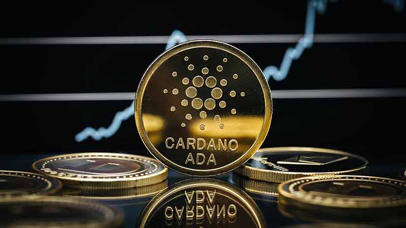 Best Cardano Casinos for 2026: Top Sites for Fast Payouts and Bonuses